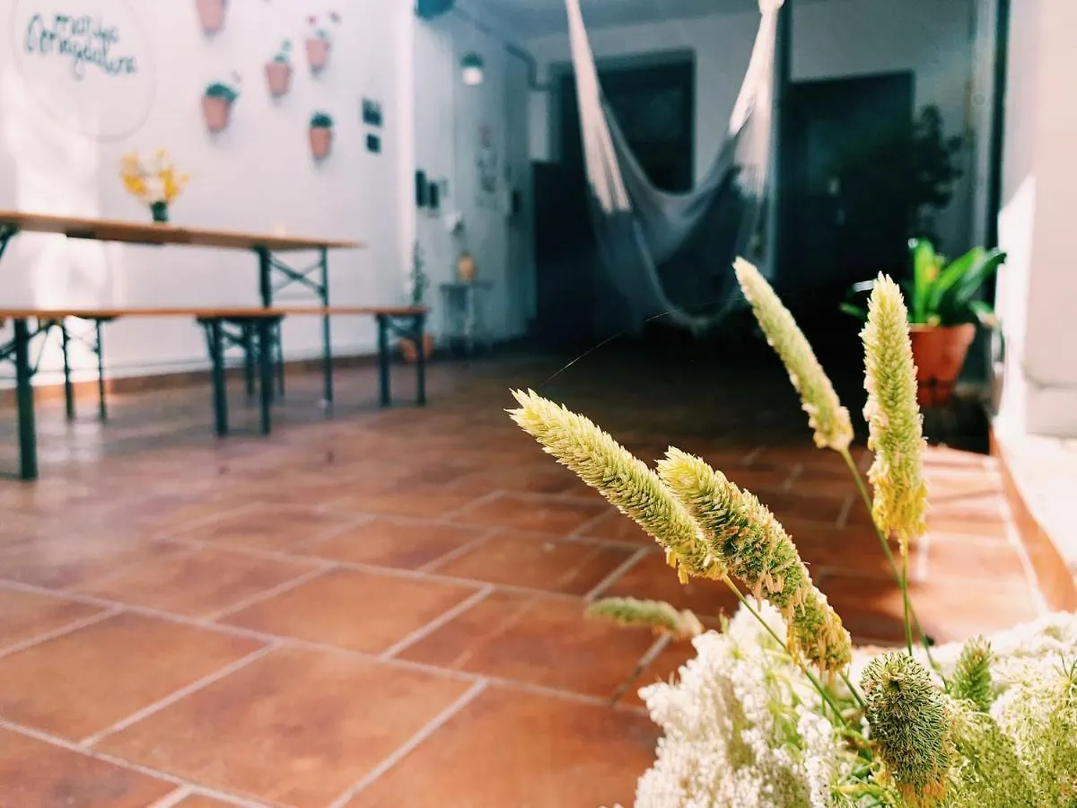 Guest house Maria Magdalena - Room 8 Malaga Spain
